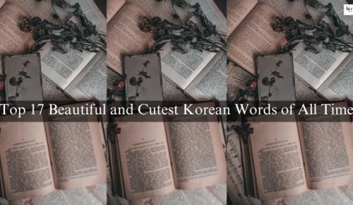 Top 17 Korean Words with their meanings