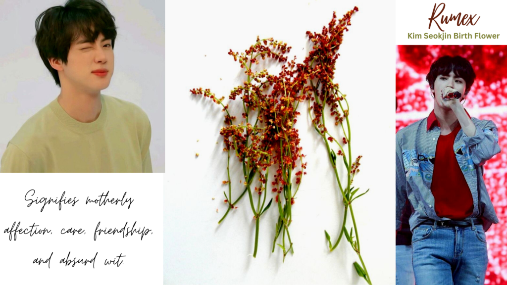 BTS Jin Jin's Birth Flower | Rumex