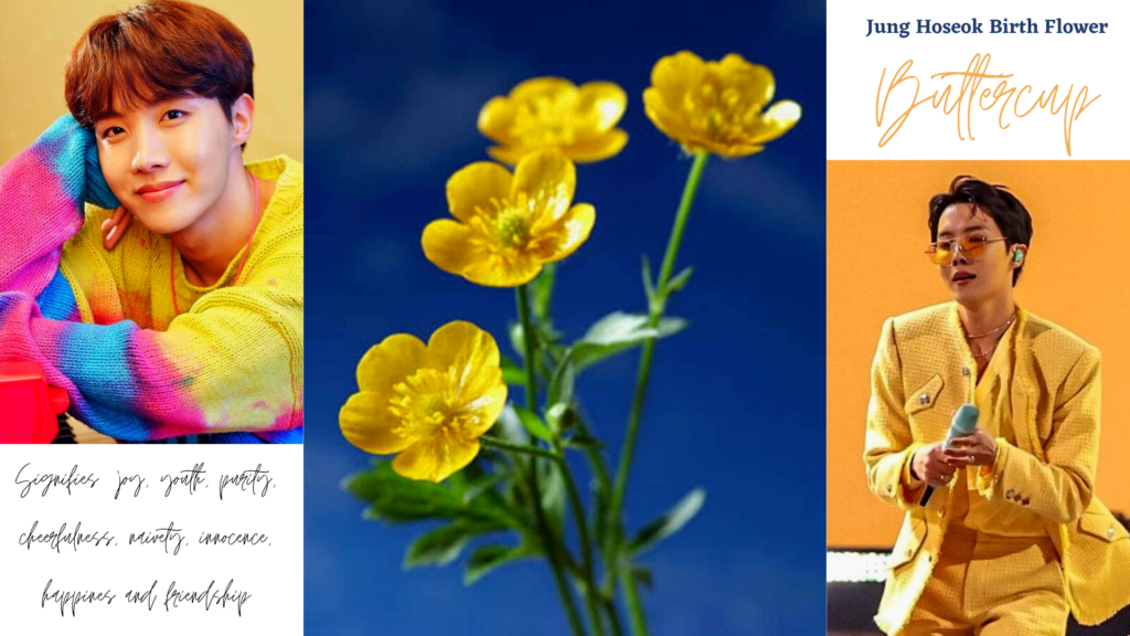 Jung Hoseok J-Hope Birth Flower | Buttercup