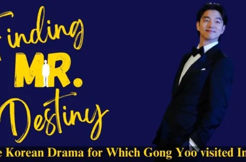 Finding Mr. Destiny